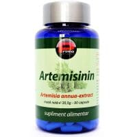 artemisinin extract primo nutrition