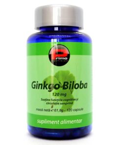 Ginkgo Biloba forte 120 mg