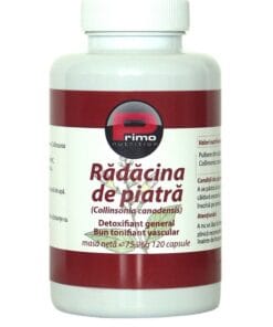 Radacina de piatra Primo