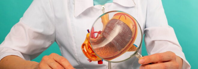 Combaterea gastropauzei pentru o longevitate sănătoasă