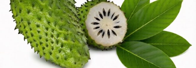 Graviola fruct vs. graviola frunze – beneficii mici sau mari pentru sănătate?