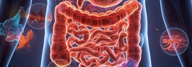 Reflux gastric tratament naturist